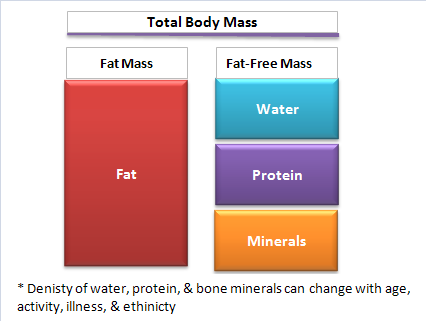 https://www.exercisebiology.com/images/uploads/miscellaneous/Two-compartment_model_for_bodyfat.png